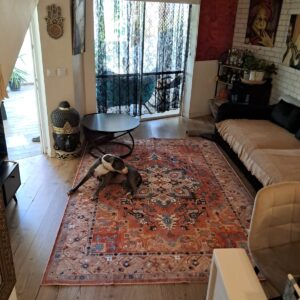 שטיח קאוליפה - דגם 3